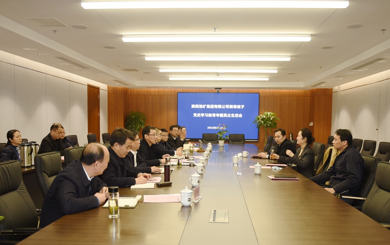 内蒙古植树集團黨委召開領導班子黨史學習教育專題民主生活會